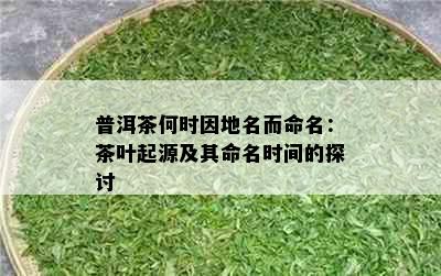 普洱茶何时因地名而命名：茶叶起源及其命名时间的探讨