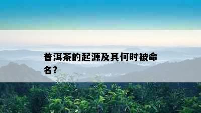 普洱茶的起源及其何时被命名？