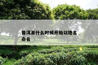 普洱茶什么时候开始以地名命名