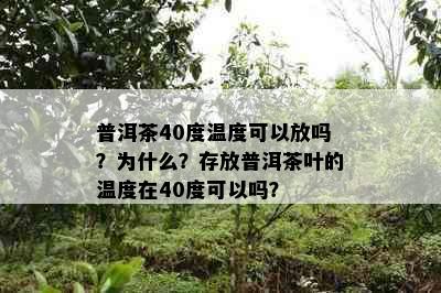 普洱茶40度温度可以放吗？为什么？存放普洱茶叶的温度在40度可以吗？