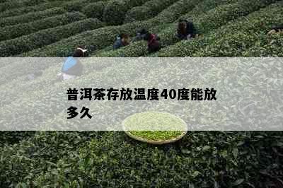 普洱茶存放温度40度能放多久