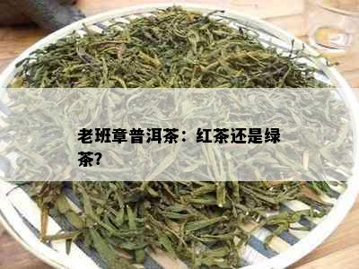 老班章普洱茶：红茶还是绿茶？