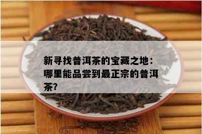 新寻找普洱茶的宝藏之地：哪里能品尝到最正宗的普洱茶？