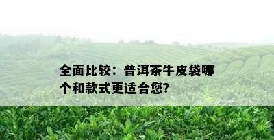 全面比较：普洱茶牛皮袋哪个和款式更适合您？