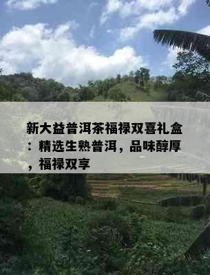 新大益普洱茶福禄双喜礼盒：精选生熟普洱，品味醇厚，福禄双享