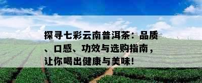 探寻七彩云南普洱茶：品质、口感、功效与选购指南，让你喝出健康与美味！