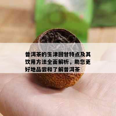 普洱茶的生津回甘特点及其饮用方法全面解析，助您更好地品尝和了解普洱茶