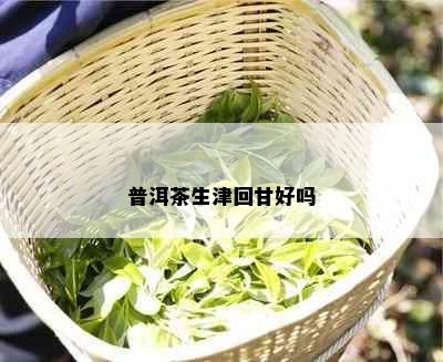 普洱茶生津回甘好吗