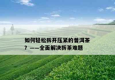 如何轻松拆开压紧的普洱茶？——全面解决拆茶难题