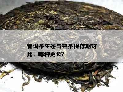 普洱茶生茶与熟茶保存期对比：哪种更长？