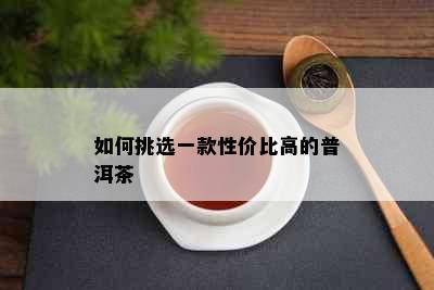 如何挑选一款性价比高的普洱茶