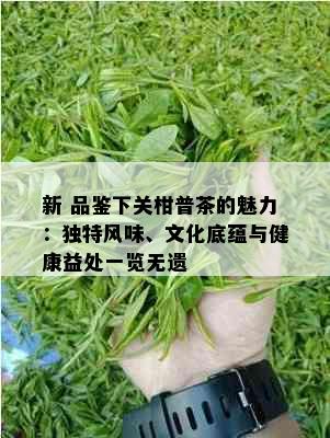 新 品鉴下关柑普茶的魅力：独特风味、文化底蕴与健康益处一览无遗