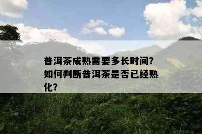 普洱茶成熟需要多长时间？如何判断普洱茶是否已经熟化？