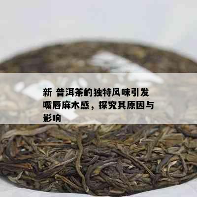 新 普洱茶的独特风味引发嘴唇麻木感，探究其原因与影响