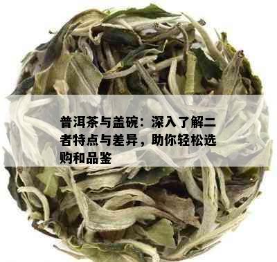 普洱茶与盖碗：深入了解二者特点与差异，助你轻松选购和品鉴