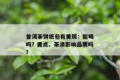 普洱茶饼纸包有黄斑：能喝吗？黄点、茶渍影响品质吗？