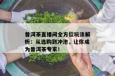 普洱茶直播间全方位玩法解析：从选购到冲泡，让你成为普洱茶专家！