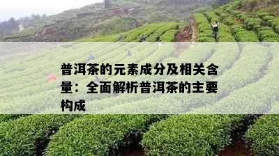 普洱茶的元素成分及相关含量：全面解析普洱茶的主要构成