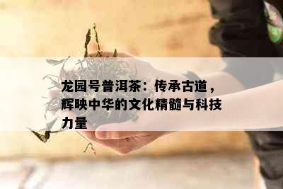 龙园号普洱茶：传承古道，辉映中华的文化精髓与科技力量