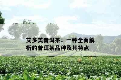 艾多美普洱茶：一种全面解析的普洱茶品种及其特点