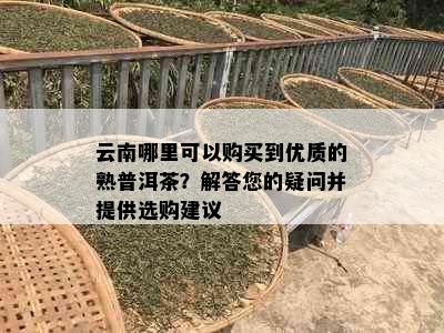 云南哪里可以购买到优质的熟普洱茶？解答您的疑问并提供选购建议