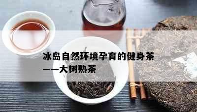 冰岛自然环境孕育的健身茶——大树熟茶