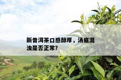 新普洱茶口感醇厚，汤底混浊是否正常？