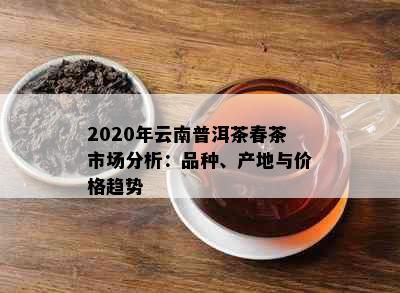 2020年云南普洱茶春茶市场分析：品种、产地与价格趋势