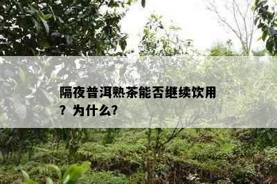 隔夜普洱熟茶能否继续饮用？为什么？