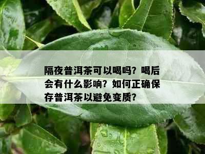 隔夜普洱茶可以喝吗？喝后会有什么影响？如何正确保存普洱茶以避免变质？