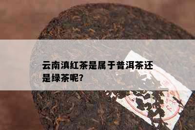 云南滇红茶是属于普洱茶还是绿茶呢？