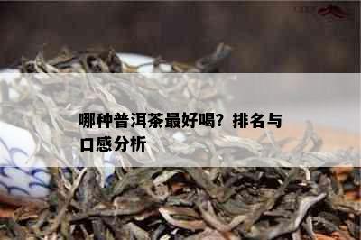 哪种普洱茶更好喝？排名与口感分析