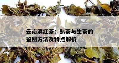 云南滇红茶：熟茶与生茶的鉴别方法及特点解析