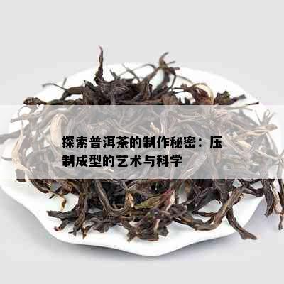 探索普洱茶的制作秘密：压制成型的艺术与科学