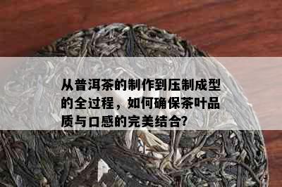 从普洱茶的制作到压制成型的全过程，如何确保茶叶品质与口感的完美结合？