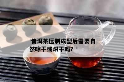 '普洱茶压制成型后需要自然晾干或烘干吗？'