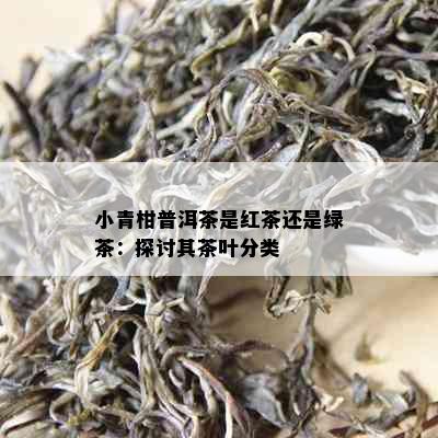 小青柑普洱茶是红茶还是绿茶：探讨其茶叶分类