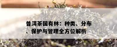 普洱茶国有林：种类、分布、保护与管理全方位解析