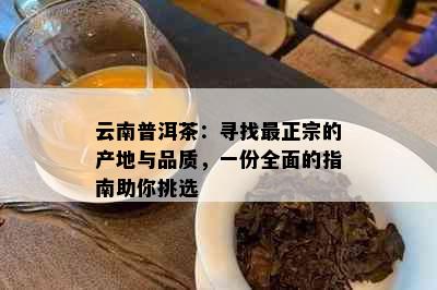 云南普洱茶：寻找最正宗的产地与品质，一份全面的指南助你挑选