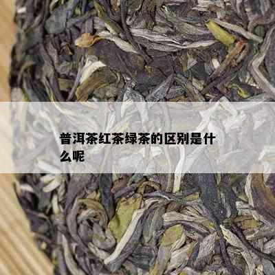 普洱茶红茶绿茶的区别是什么呢