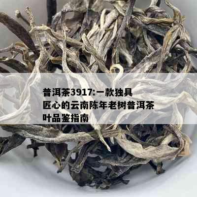 普洱茶3917:一款独具匠心的云南陈年老树普洱茶叶品鉴指南