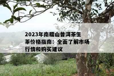 2023年南糯山普洱茶生茶价格指南：全面了解市场行情和购买建议