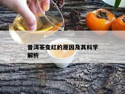 普洱茶变红的原因及其科学解析