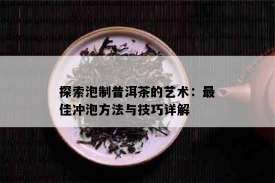 探索泡制普洱茶的艺术：更佳冲泡方法与技巧详解