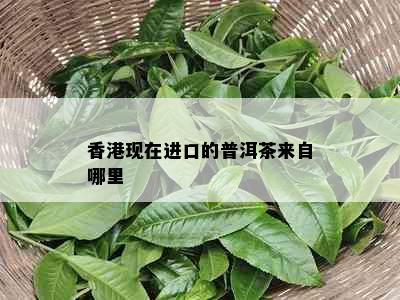 现在进口的普洱茶来自哪里