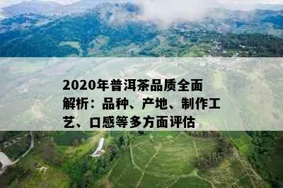 2020年普洱茶品质全面解析：品种、产地、制作工艺、口感等多方面评估