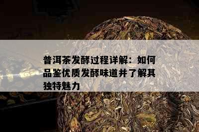 普洱茶发酵过程详解：如何品鉴优质发酵味道并了解其独特魅力