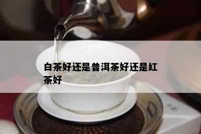 白茶好还是普洱茶好还是红茶好