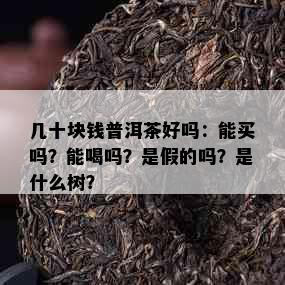 几十块钱普洱茶好吗：能买吗？能喝吗？是假的吗？是什么树？