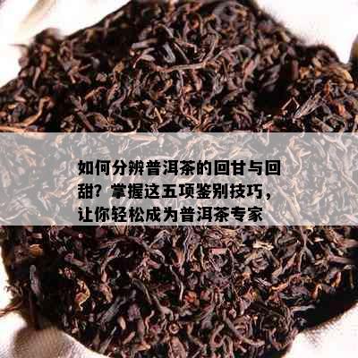 如何分辨普洱茶的回甘与回甜？掌握这五项鉴别技巧，让你轻松成为普洱茶专家